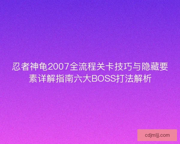 忍者神龟2007全流程关卡技巧与隐藏要素详解指南六大BOSS打法解析